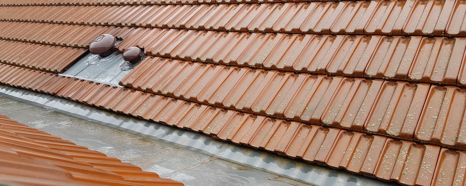 infiltrations d'eau dans une toiture